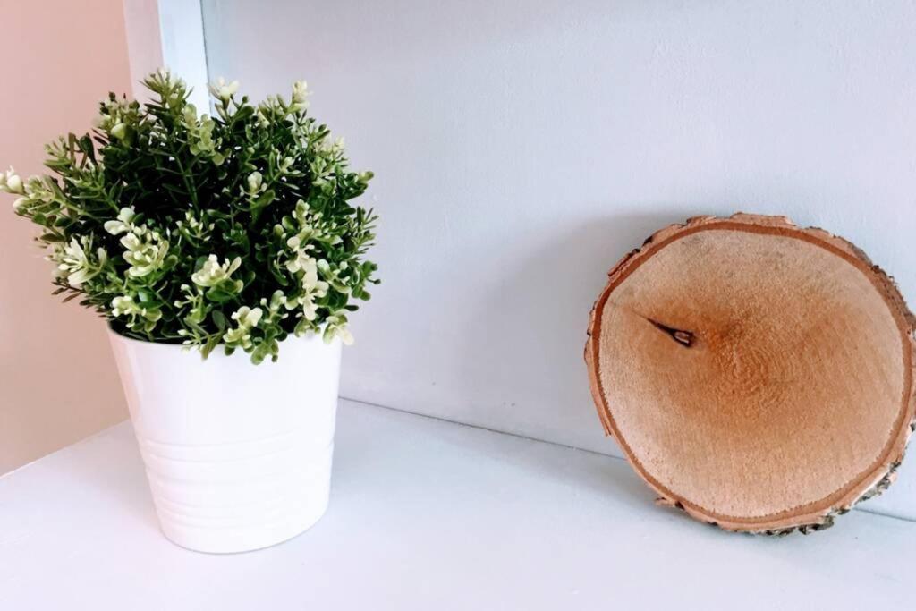 Apartamento 6 De Mayo 龙达 外观 照片
